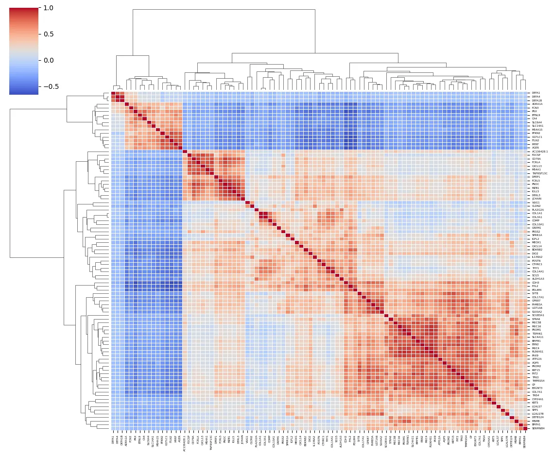 Correlation matrix between the differentially expressed genes