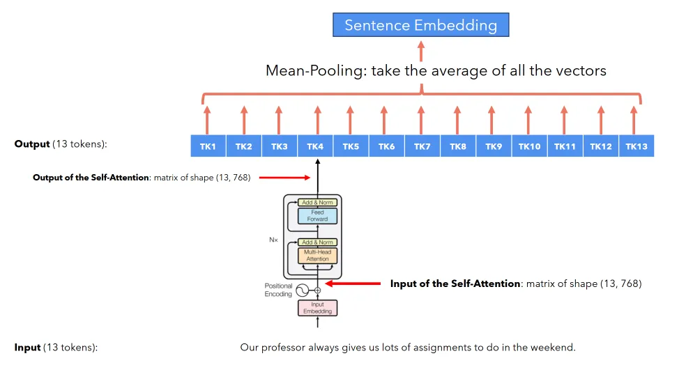 Mean pooling BERT token embeddings into a single sentence vector