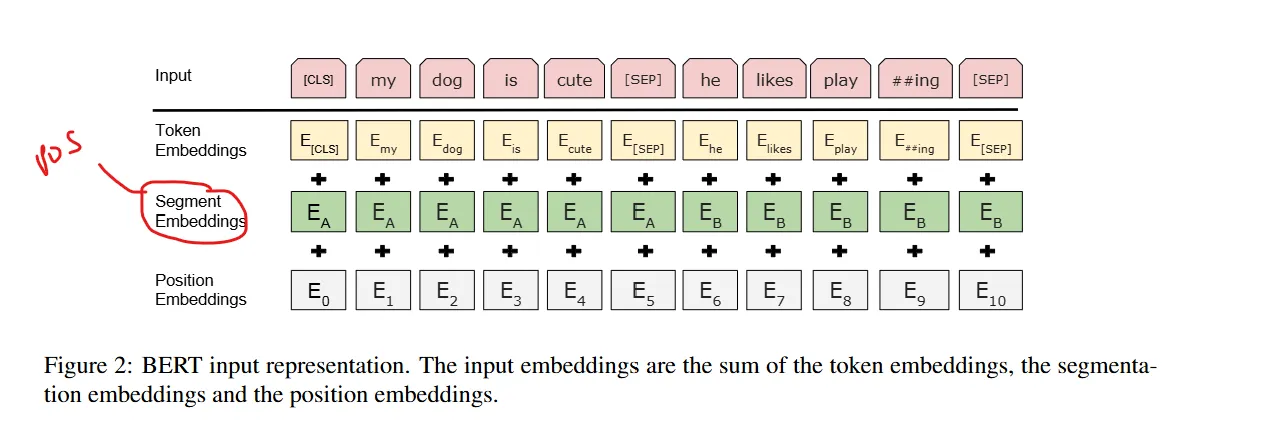 Input embeddings: token, segment, and position summed
