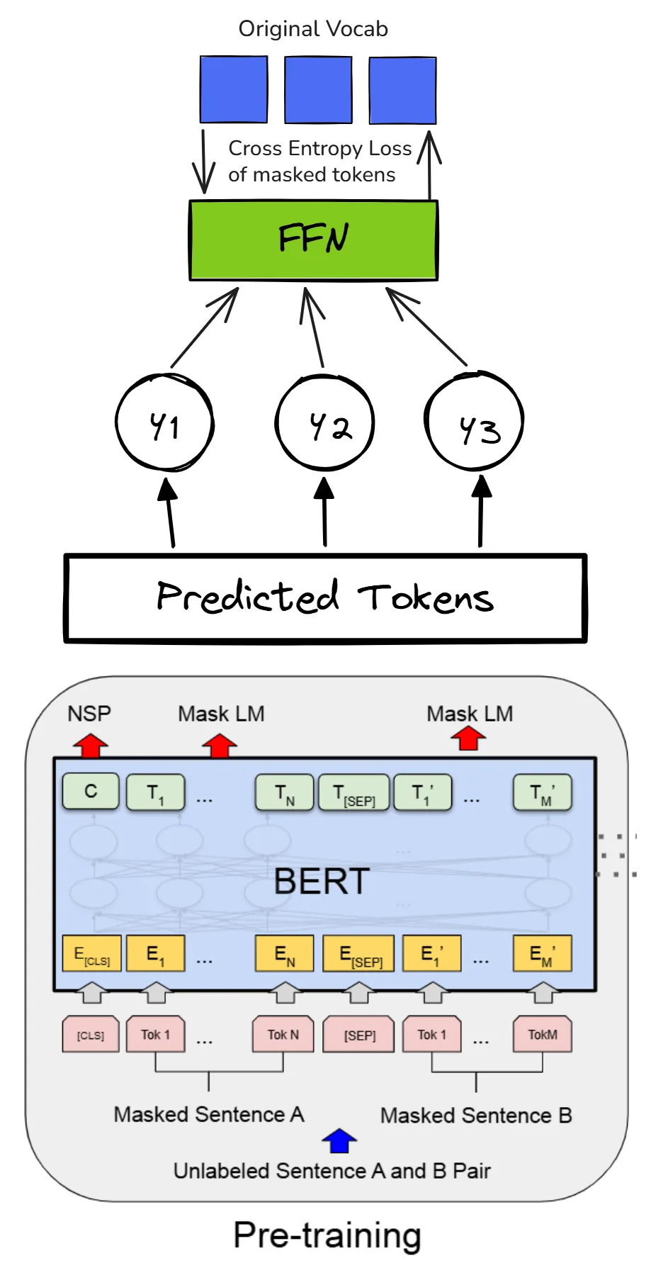 Masked token predictions projected to a vocabulary distribution